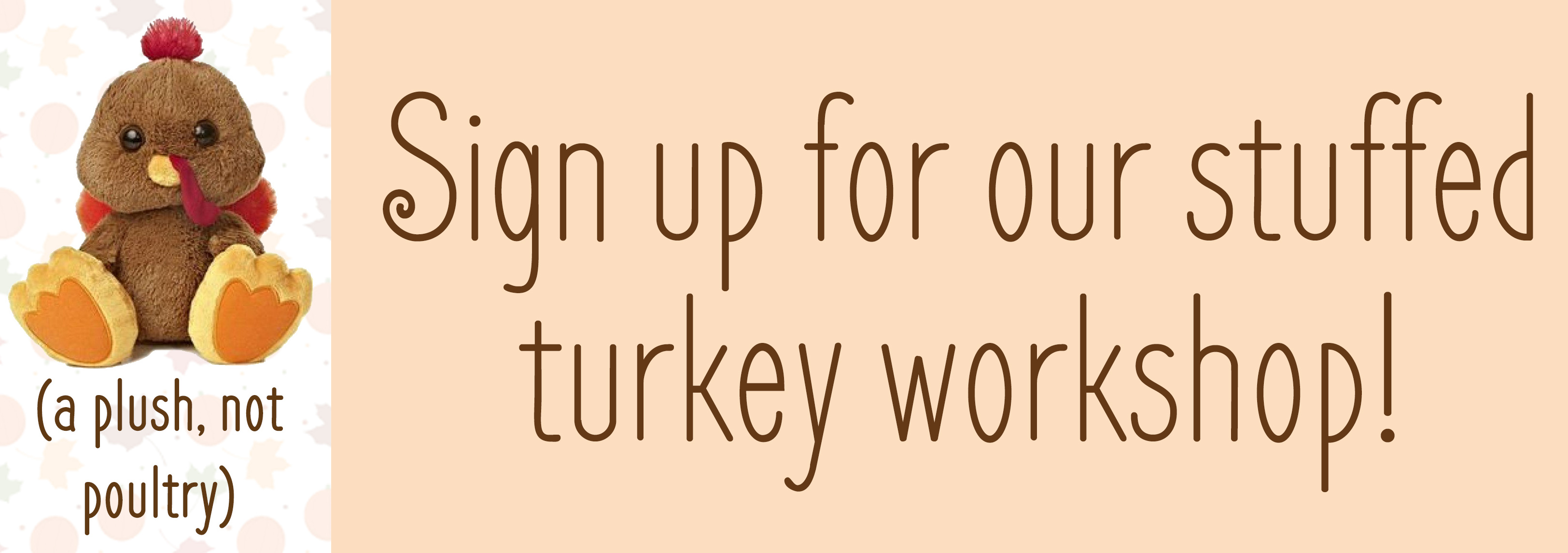 turkey workshop banner.jpg